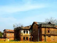  Agricultural Land for Sale in Pragpur, Kangra