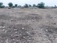  Agricultural Land for Sale in Pargi, Vikarabad
