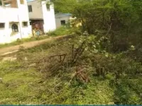  Residential Plot for Sale in Srinivasapuram, Thanjavur