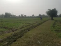  Agricultural Land for Sale in Sojitra Road, Anand