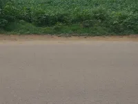  Agricultural Land for Sale in Tijara, Alwar