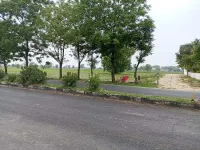  Agricultural Land for Sale in Kikar Bazar Road, Bathinda