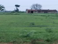  Agricultural Land for Sale in Agra Road, Dausa