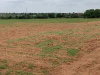  Agricultural Land for Sale in Mahabubnagar, Hyderabad