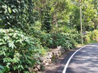1 RK Farm House for Sale in Yercaud, Salem