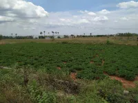  Residential Plot for Sale in Tiruchengode, Namakkal