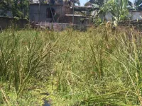  Residential Plot for Sale in Chandannagar, Six Mile, Guwahati