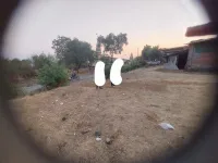 Agricultural Land for Sale in Maval, Pune