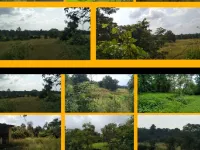  Agricultural Land for Sale in Sudhagad, Raigad
