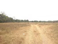  Agricultural Land for Sale in Sanjan, Valsad