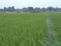  Agricultural Land for Sale in Umbergaon, Valsad