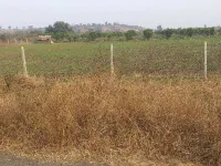  Agricultural Land for Sale in Dharampur, Valsad