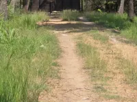  Agricultural Land for Sale in Sanjan, Valsad