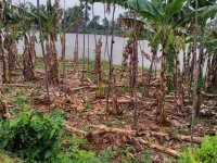 Residential Plot for Sale in Ravulapalem, East Godavari