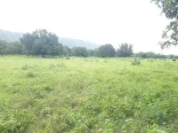  Agricultural Land for Sale in Vijayanagar, Vijayawada