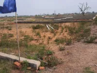 Residential Plot for Sale in Yamuna Expressway, Greater Noida