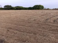  Agricultural Land for Sale in Khapri, Nagpur
