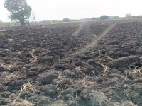 Agricultural Land for Sale in Katol, Nagpur
