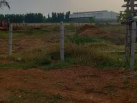 Residential Plot for Sale in Pitapalli, Bhubaneswar