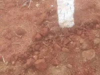 1 BHK Farm House for Sale in Moolakaraipatti, Tirunelveli