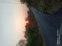  Residential Plot for Sale in Rahatgaon, Amravati