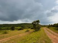  Agricultural Land for Sale in Sri Madhopur, Sikar