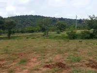  Agricultural Land for Sale in Malavalli, Mandya