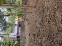 Residential Plot for Sale in Sreekaryam, Thiruvananthapuram