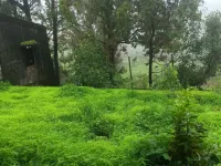 Residential Plot for Sale in Mulshi, Pune