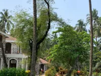  Commercial Land for Sale in Koregaon Park, Pune