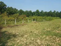  Residential Plot for Sale in Sahaspur, Dehradun