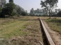  Residential Plot for Sale in Selakui, Dehradun