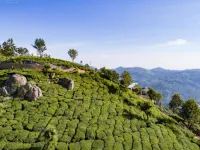  Residential Plot for Sale in Coonoor, Nilgiris