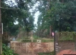 100 Katha Residential Plot for Sale in Meherpur, Silchar