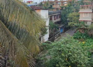 3 Katha Residential Plot for Sale in Chirukandi, Silchar