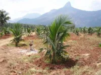  Agricultural Land for Sale in Sindhrot, Vadodara