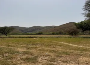 Agricultural Land for Sale in Naugaon, Alwar