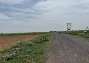 Agricultural Land for Sale in Ferozepur Jhirka, Nuh