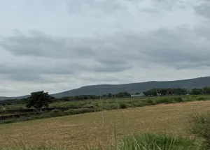 Agricultural Land for Sale in Naugaon, Alwar