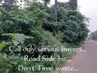  Agricultural Land for Sale in Nellimaria, Vizianagaram