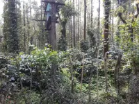  Agricultural Land for Sale in Somvarpet Sorab, Kodagu