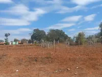  Agricultural Land for Sale in Jayapura, Mysore