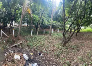  Residential Plot for Sale in Courtallam, Tirunelveli