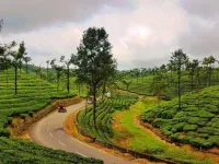  Agricultural Land for Sale in Valparai, Coimbatore