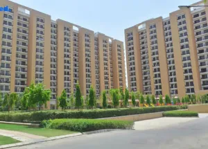 3 BHK Flat for Rent in Sector 81 Gurgaon