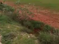  Agricultural Land for Sale in Madhugiri, Tumkur