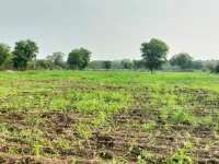  Agricultural Land for Sale in Shankarpally, Rangareddy