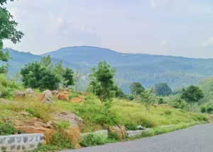 Residential Plot for Sale in Yercaud, Salem