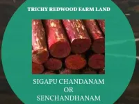 Residential Plot for Sale in Manapparai, Tiruchirappalli