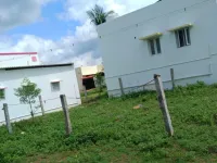  Residential Plot for Sale in Chennamanayakkanpatti, Dindigul